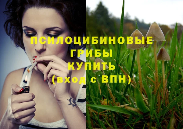 ALPHA PVP Абинск