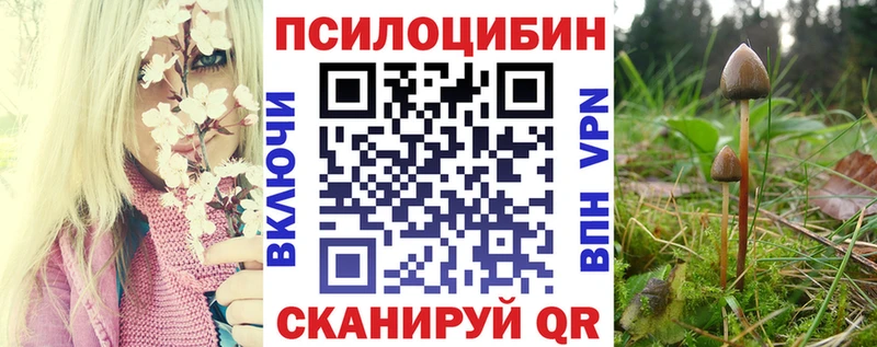 Псилоцибиновые грибы Psilocybine cubensis  Сухиничи 